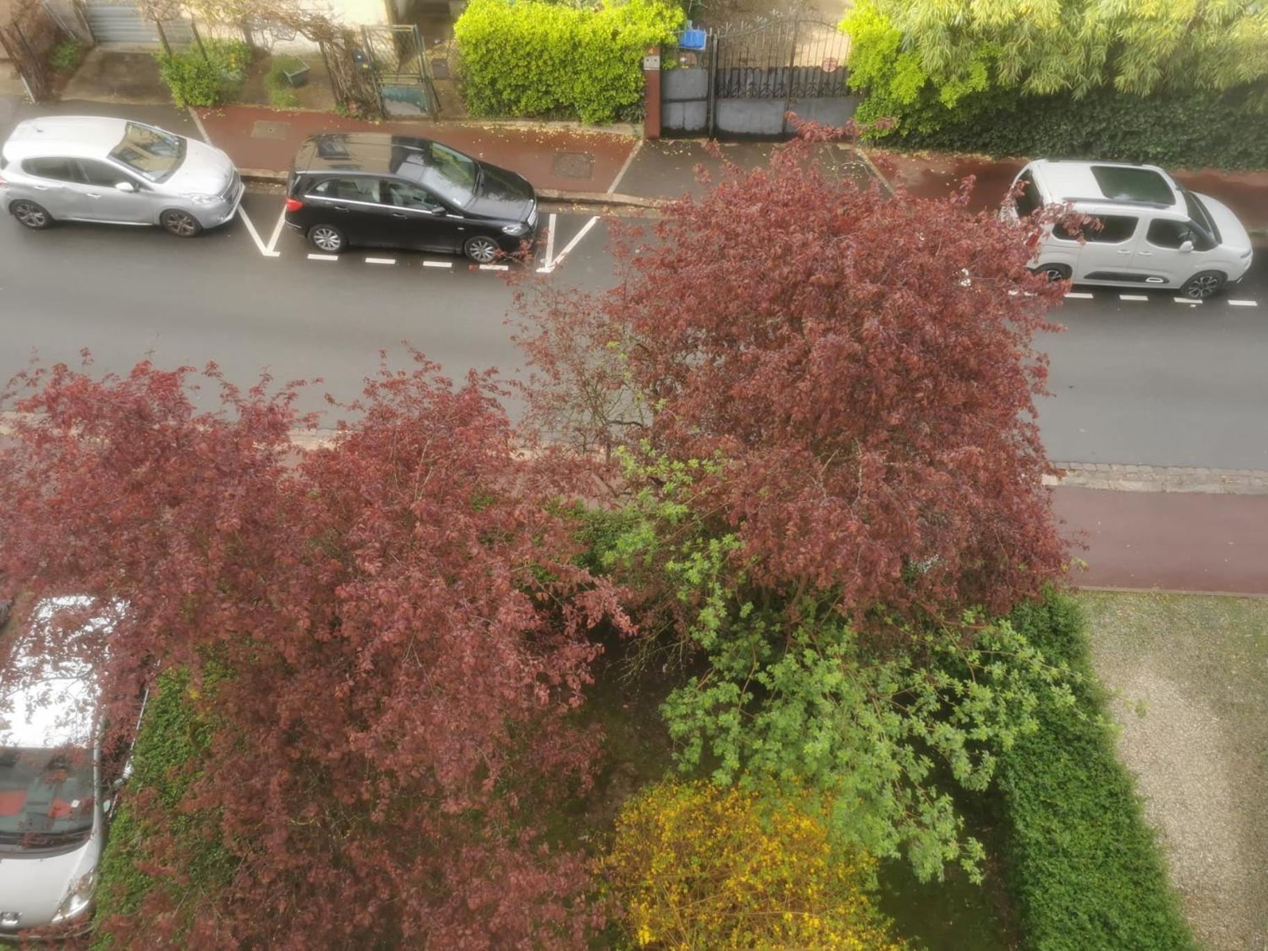Appartement 3 Pieces A Seulement 5Km De Paris - For 2 To 7 Guests ! Fontenay aux Roses Bagian luar foto